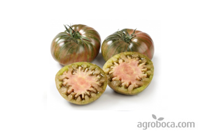 Tomates ecológicos Cherokee ( 1 KG)