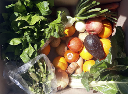 Offer box with organic fruit and vegetables (8,5KG) - Alicante .Angebot Korb mit Bio-Obst und -Gemüse (9,5 kg) - Alicante