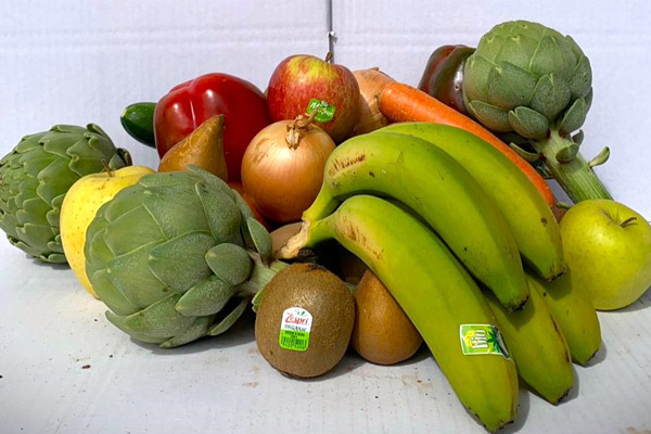 Cesta ECO frutas y verduras surtida (10 KG)
