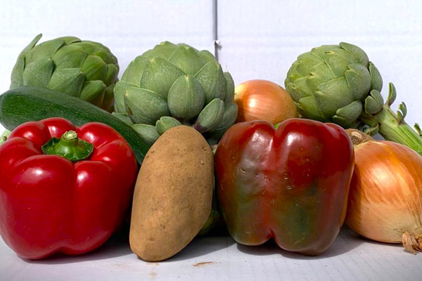 Cesta de Verduras Ecologica Surtida de 10 Kg