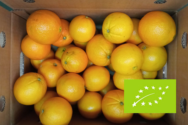 Naranjas ecologicas (5KG)