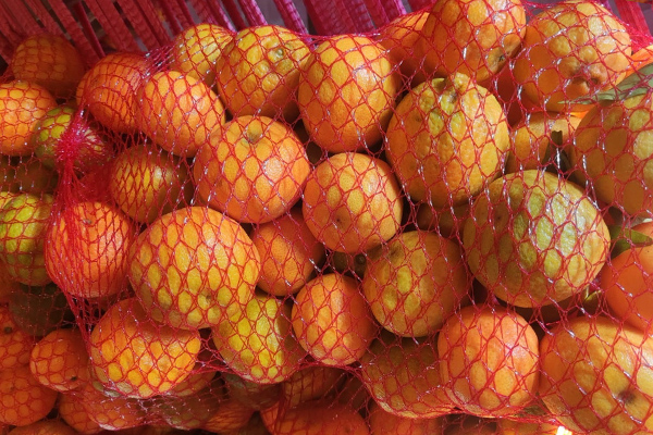 Mandarines de temporada (5KG)