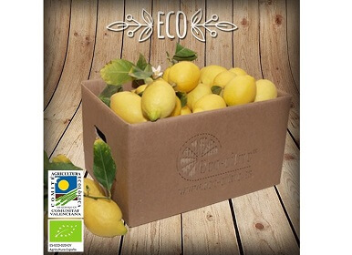 Limones ecológicos 20 Kg