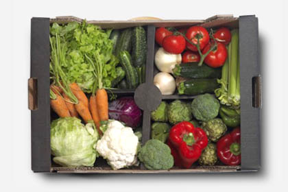 Caja verduras ecológicas 8 Kg