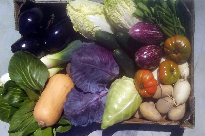 Organic box 12 Kg vegetables
