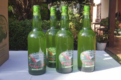 Sidra ecológica Valleoscuru (6 botellas)