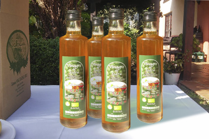 Vinagre de manzana ecológico Valleoscuru (6 botellas 0,5L)