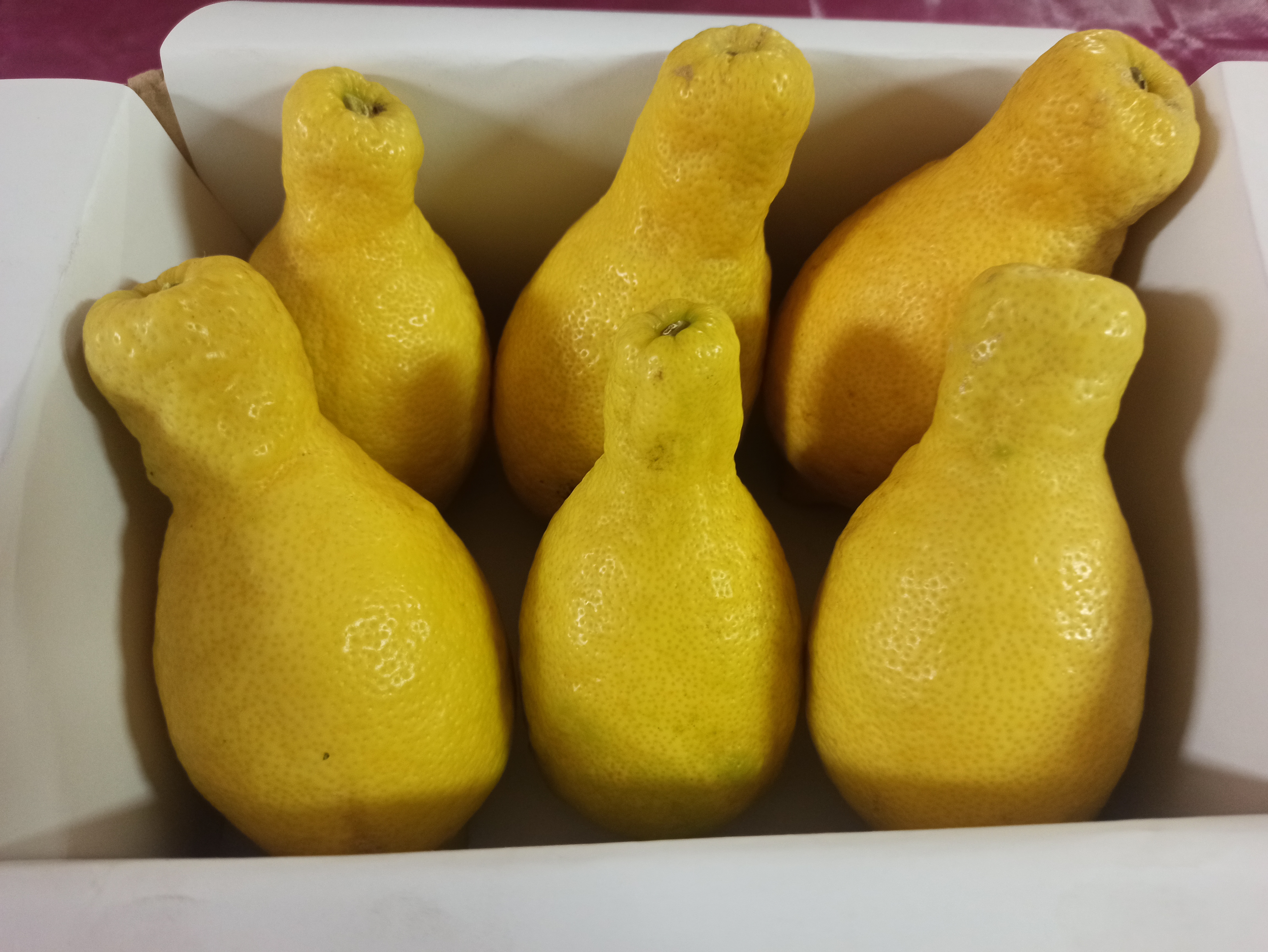 Limón pera