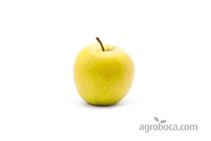 Manzanas ecológicas Golden (KG)