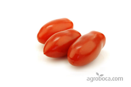 Tomates ecológicos pera (KG)