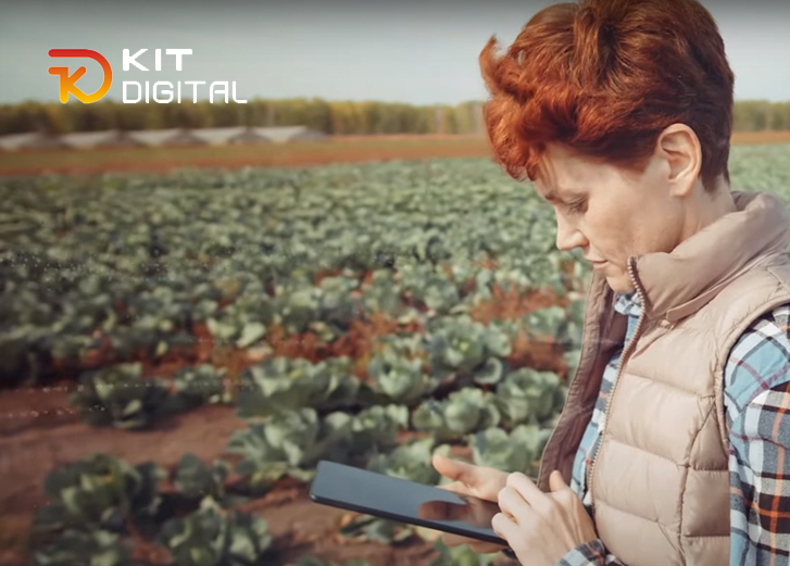 Kit Digital Marketplace para agricultores y agentes digitalizadores
