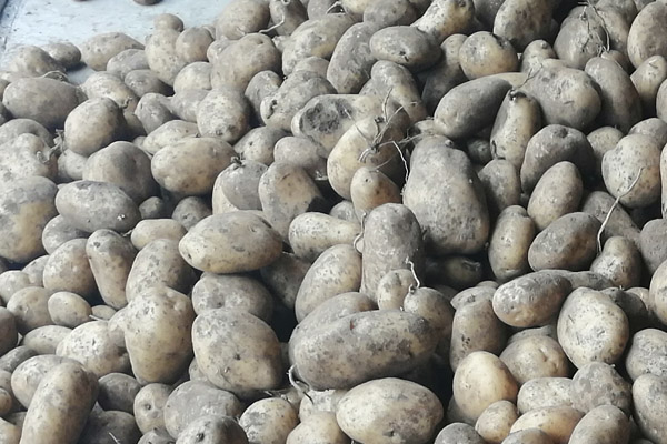 Patatas (1 KG)