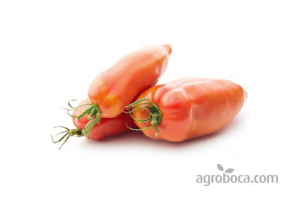 Tomates ecológicos Cuerno de los Andes (1 KG)