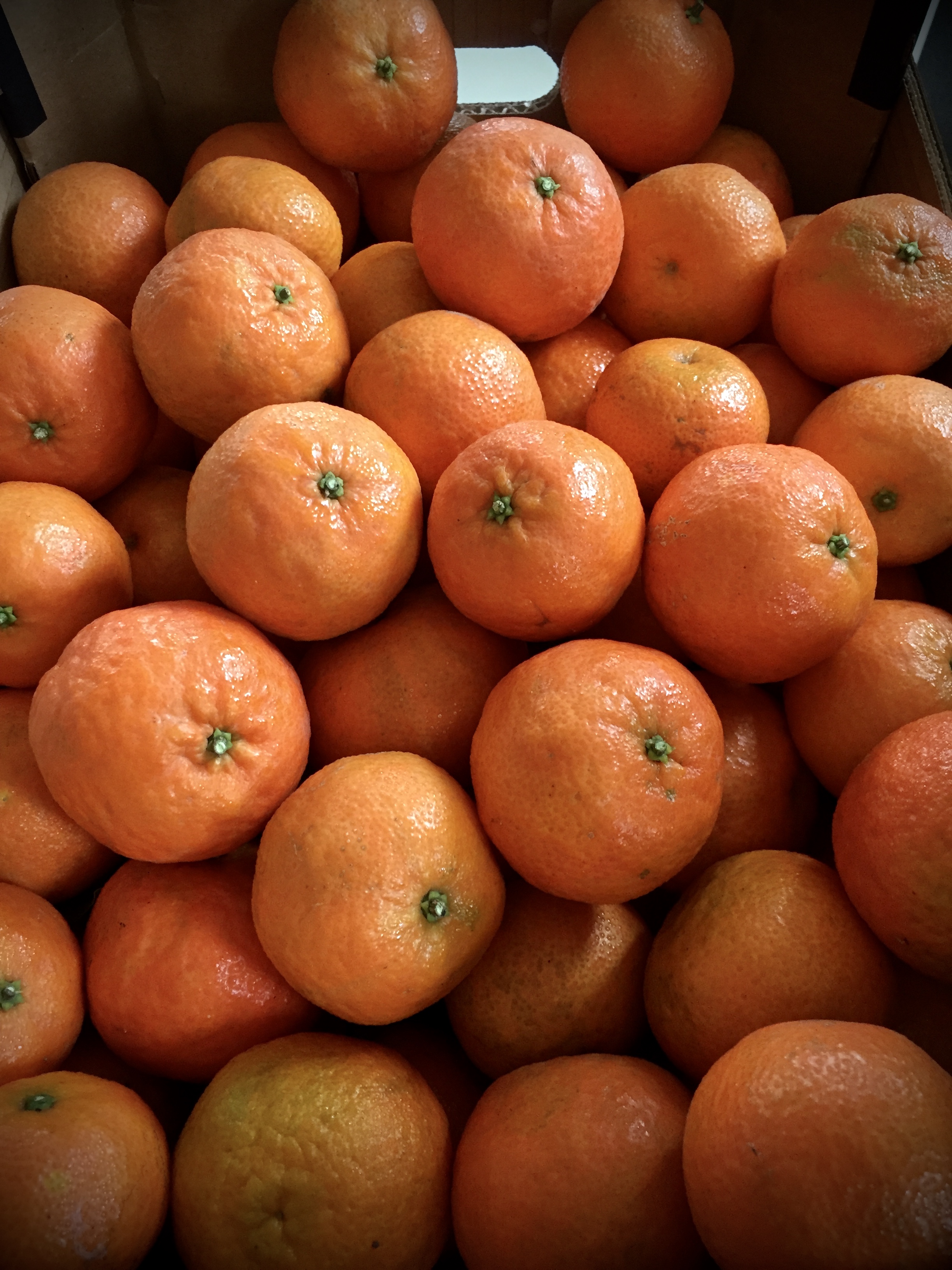 Mandarinas ecológicas (5 KG)