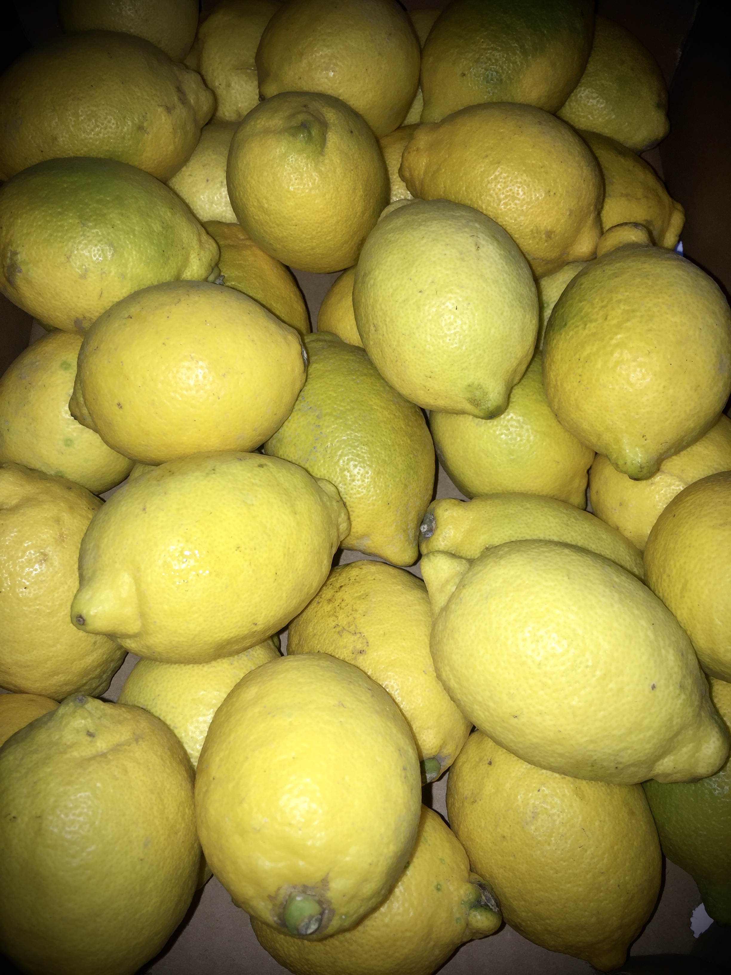 Limones ecológicos (5 kg)