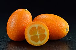 Kumquat- Fortunella