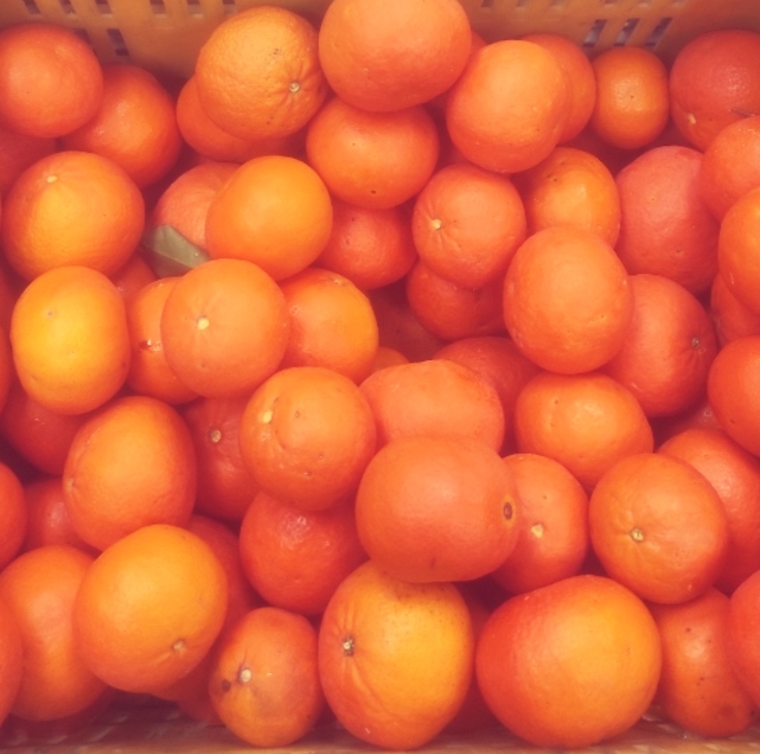 Mandarinas Clemenvilla de Pagés km0