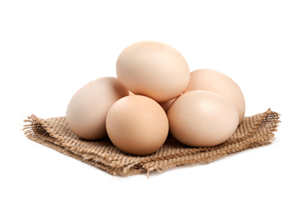 Huevos ecológicos docena
