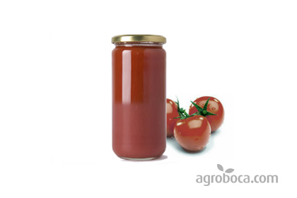 Tomate triturado ecológico (680g)