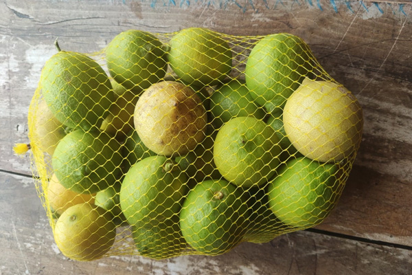 Limones Verna (KG)