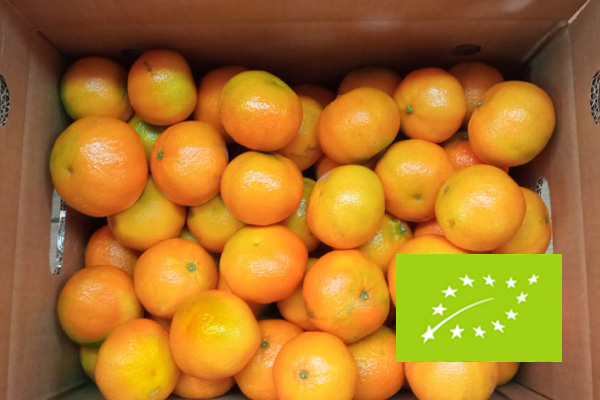 Mandarines ecològiques (5KG)