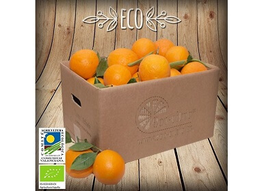 Naranjas ecológicas 10 Kg