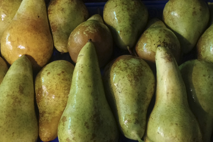 Comprar online cestas de frutas y verduras variadas a domicilio en 24h -  Agroboca