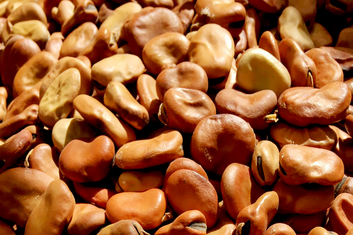 Dried beans BIO (200gr)
