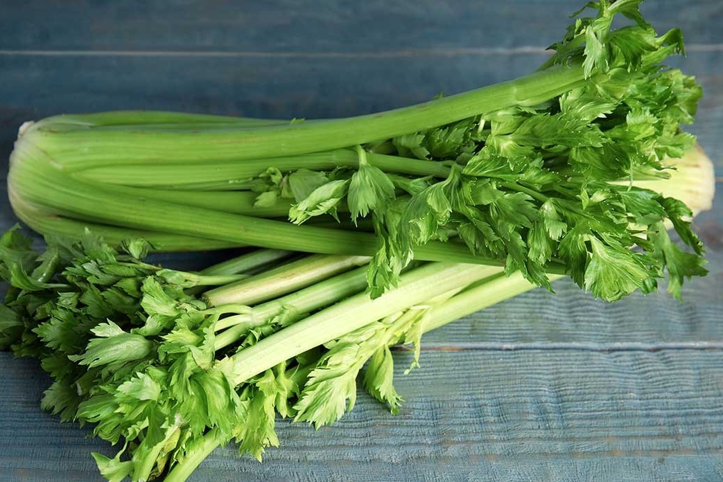 BIO Celery