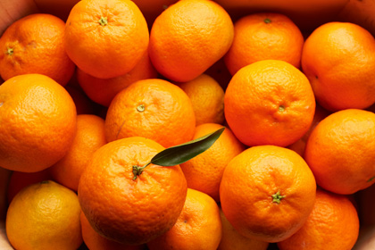 BIO Tangerine (kg)