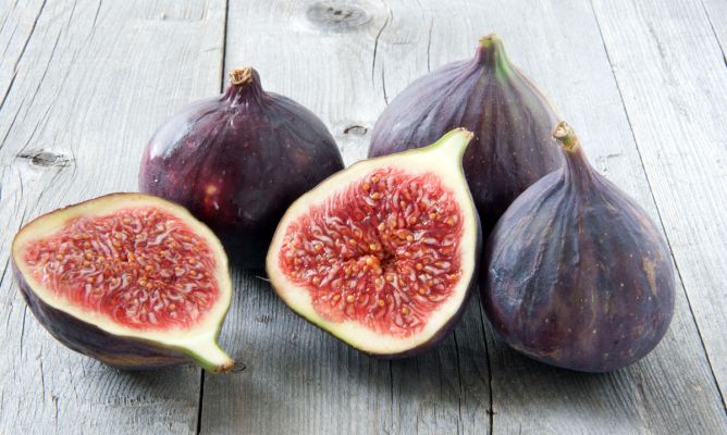 Figs from Barcelona