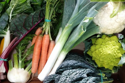 Fresh Organic vegetables box