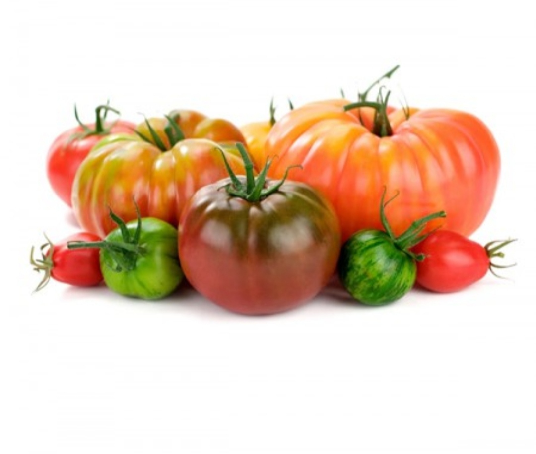 Surtido de tomates ECOLÓGICOS
