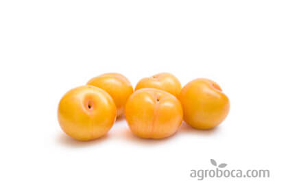 Organic red plums (KG)