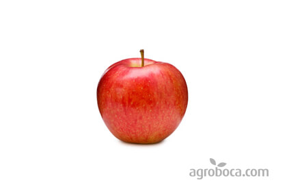 Manzana roja ecológica ECO