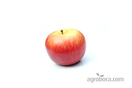 Manzana bicolor ecológica ECO