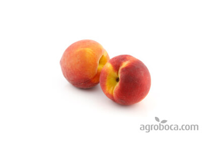 Organic peaches (KG)