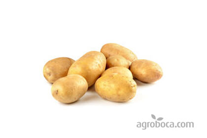 Patates ecològiques (4,5 KG)